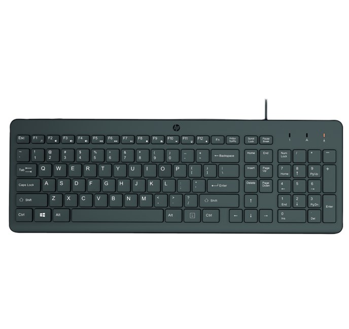 HP 150 Kablolu Klavye Siyah (664R5AA)