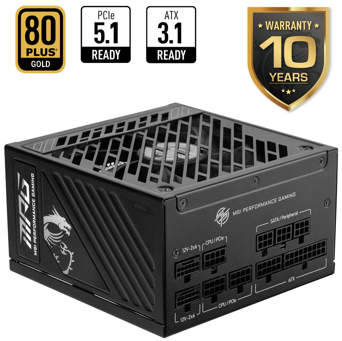 MSI PSU MPG A1250GS PCIE5 1250W 80+ GOLD ATX 3.1 PCIE 5.1 2X 12V-2X6 POWER SUPPLY